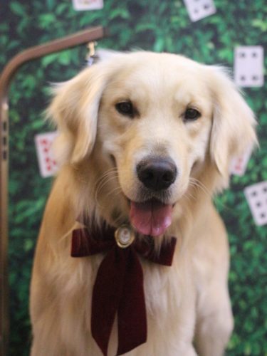 20250425レオくん